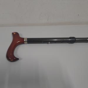 CS1030/2025 WALKING CANE