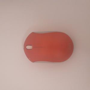 CS1212/2025 RED MOUSE