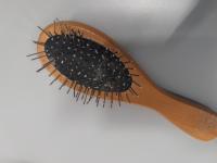WOODEN SMALL HAIRBRUSH