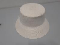 CS366/2024 WHITE HAT - 100% PAPER