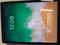 CS490/2024 BLACK APPLE I PAD