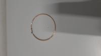 CS701/2024 GOLDEN HOOP TYPE EARRING