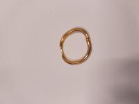 CS804/2024 EARRING