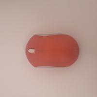 CS1212/2025 RED MOUSE