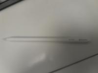 CS2231/2026 APPLE PENCIL PRO